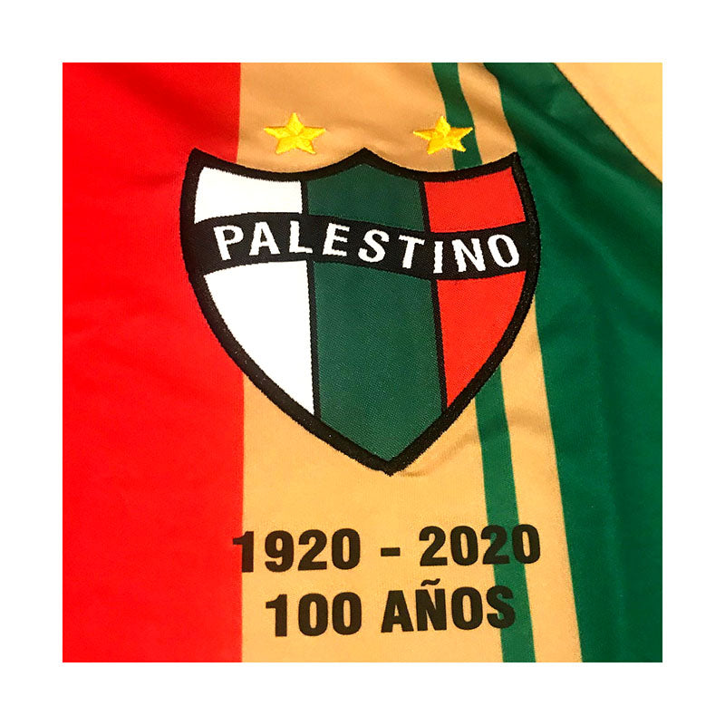 CD Palestino 2020 Especial