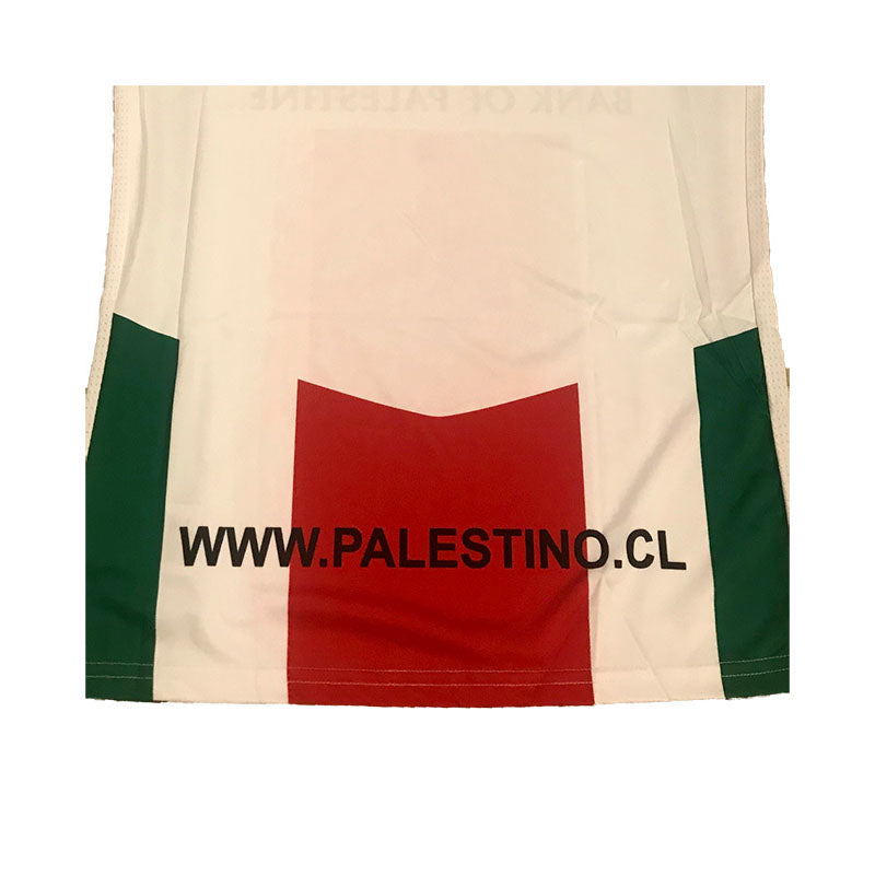 CD Palestino 2019 Local