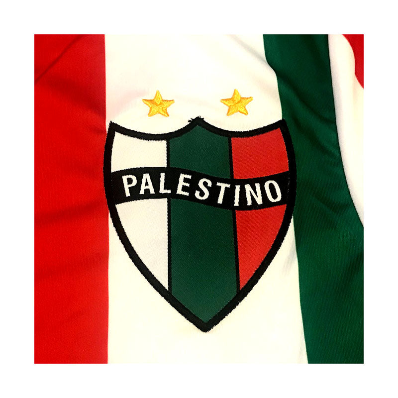CD Palestino 2019 Home